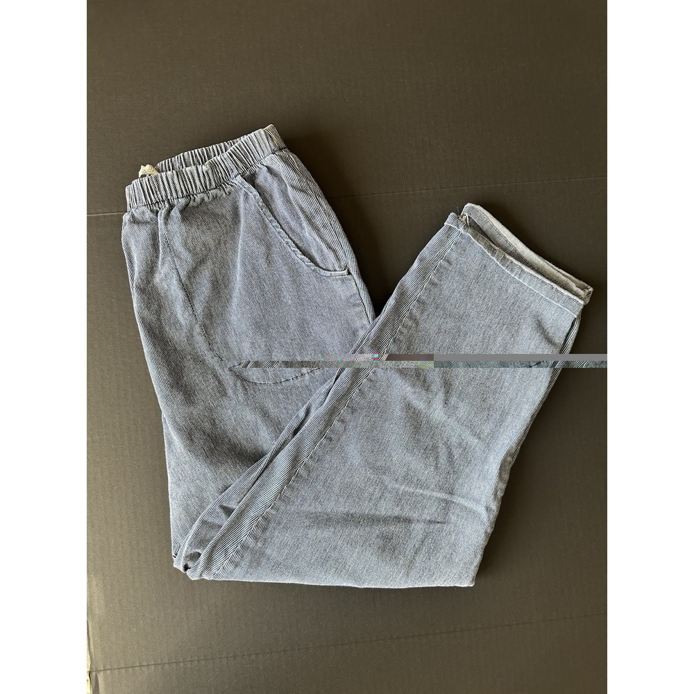 R.M. Grandstaff Womens 1X AVG Blue White Micro Check Elastic Waist Pants 16W